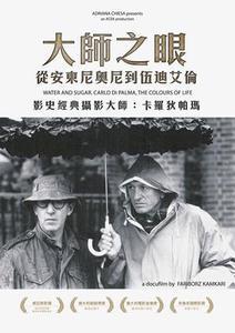 大師之眼—從安東尼奧尼到伍迪艾倫