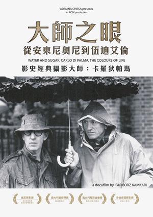 大師之眼—從安東尼奧尼到伍迪艾倫