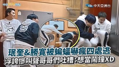 【夯韓綜】珉奎&勝寛被蝙蝠嚇瘋四處逃 浮誇慘叫聲哥哥們吐槽：想當鬧鐘XD｜NANA bnb with SEVENTEEN