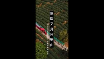 隔岸又見阿里山