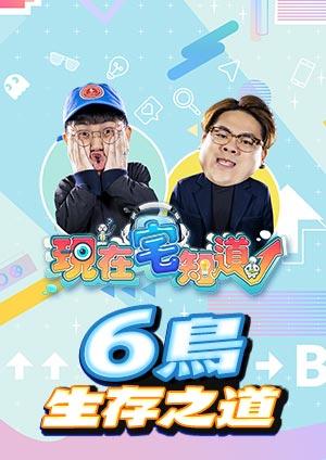 現在宅知道 6鳥生存之道