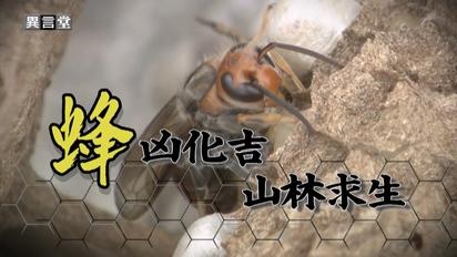 蜂凶化吉 山林求生｜全球暖化 高齡熱傷害｜英勇殉職的背後
