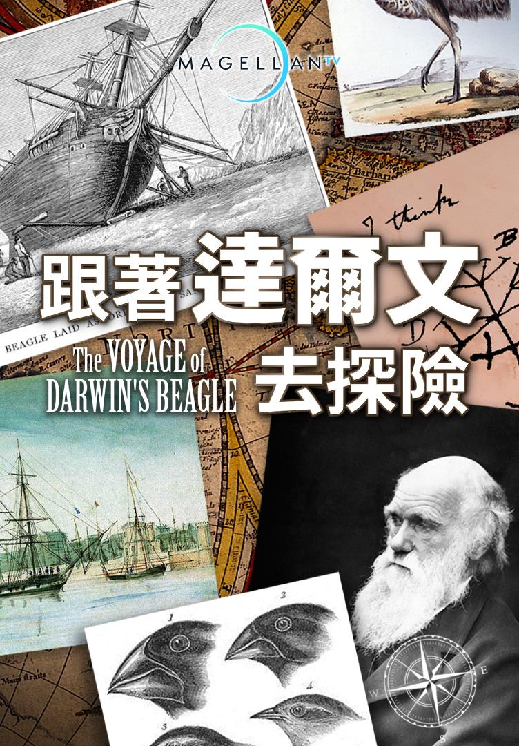跟著達爾文去探險