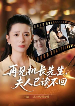 再見機長先生，夫人已讀不回