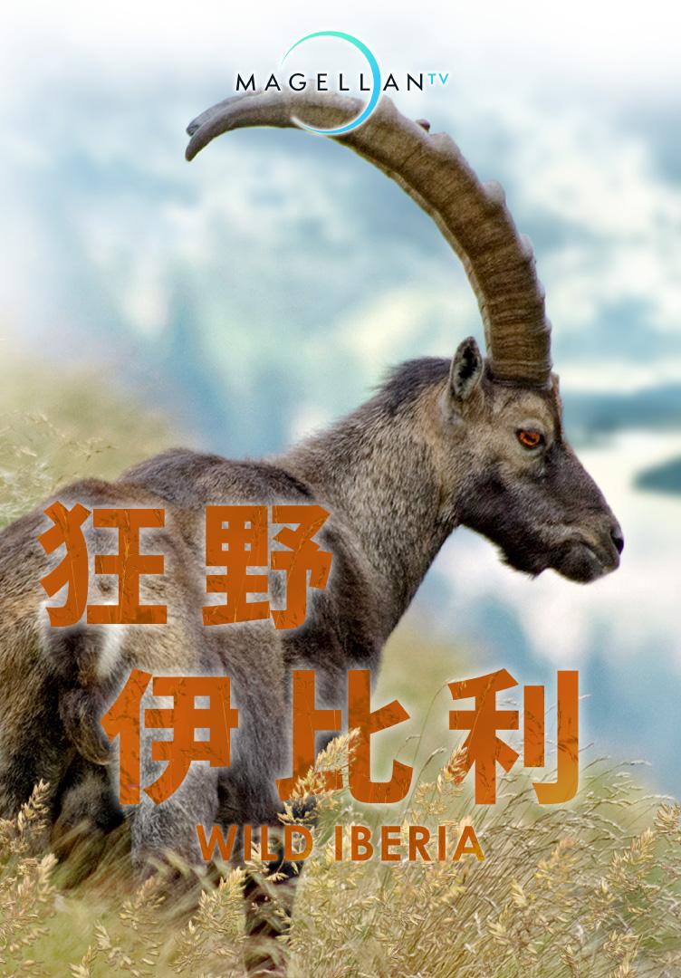 狂野伊比利