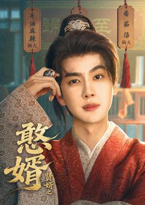 賢婿之憨婿