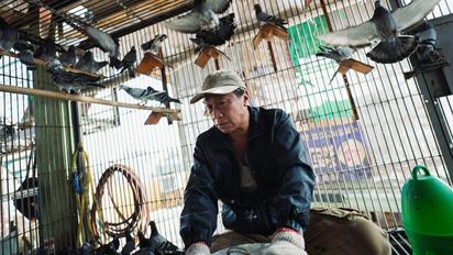 一家子兒咕咕叫 預告