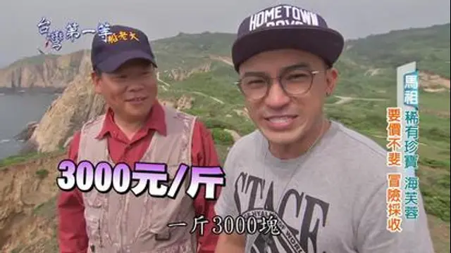 台灣第一等-第116集 全亞規模最大藍海牧場 花蓮