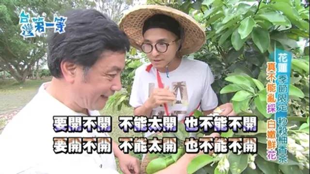 台灣第一等-第204集 世界冠軍 神農茶王
