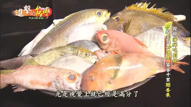 進擊的台灣-第175集 現撈海鮮吃到飽 超澎湃CP值高 饕客千里聞香來